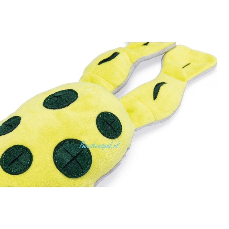Beeztees - Hide & Seek - Hondenknuffels 2 Beeztees - Hide & Seek - Hondenknuffels - Afbeelding 2