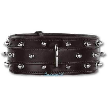 Doxtasy - Halsband - Supa Spike