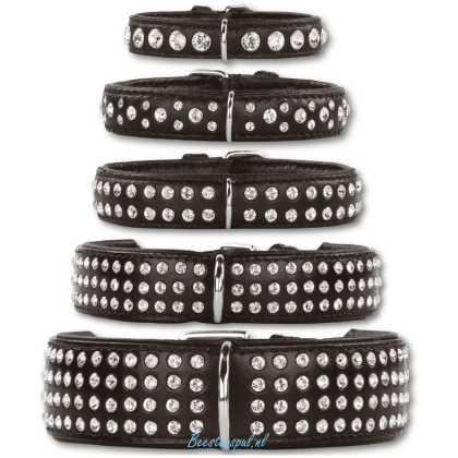Doxtasy - Halsband Zwart/Zilver - Swarovski Strass Extreme