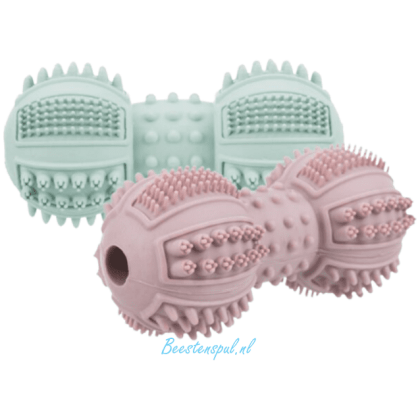 Trixie - Junior Halter