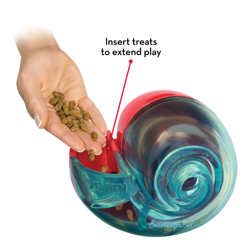 Kong - Rewards - Shell 2 Kong - Rewards - Shell - Afbeelding 2