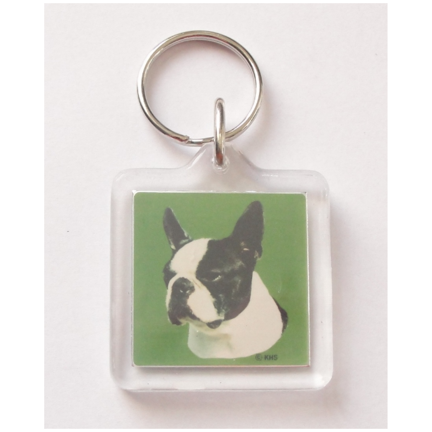 Lindo Boston Terrier Stickers Agresiva Ilustración Digital Stock de