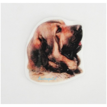 Magneetje - Mastin Espagnol