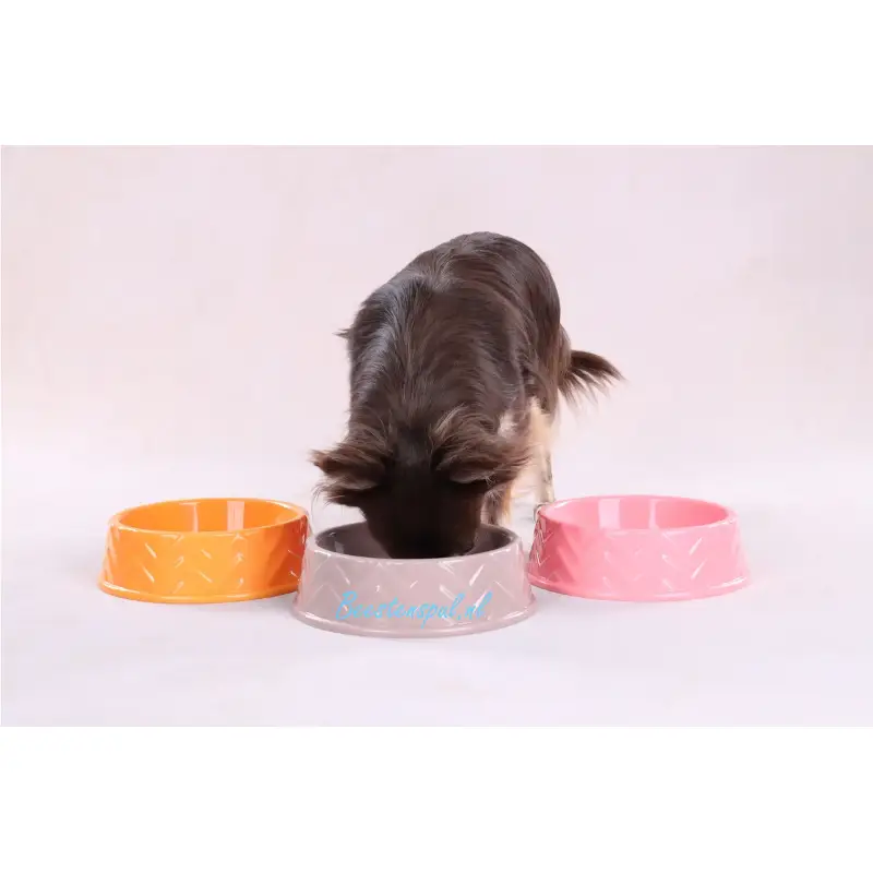 Flamingo - Voer-/Waterbak - Puppy Love Bowl 2 Flamingo - Voer-/Waterbak - Puppy Love Bowl - Afbeelding 2