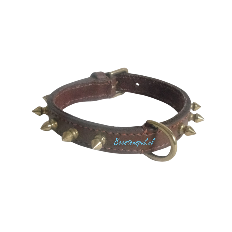 Doxtasy - Halsband - Spikes Bruin 1 Doxtasy - Halsband - Spikes Bruin