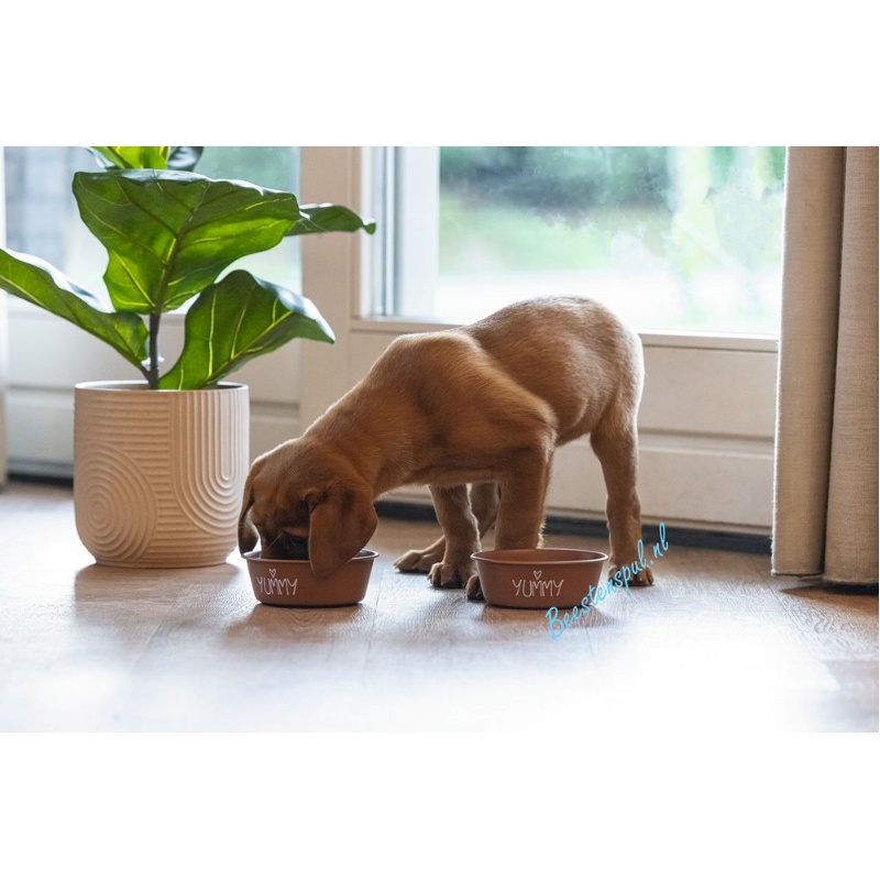 Beeztees - Voer-/Waterbak Snoes 2 Beeztees - Voer-/Waterbak Snoes - Afbeelding 2