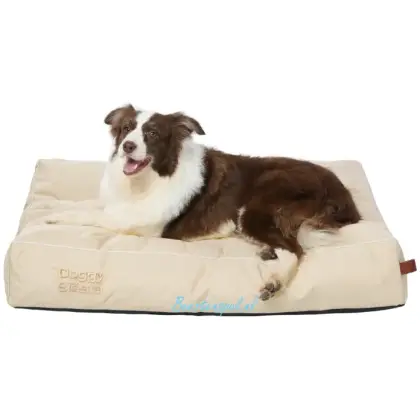 Pet Joy - The Doggy Siësta Strong