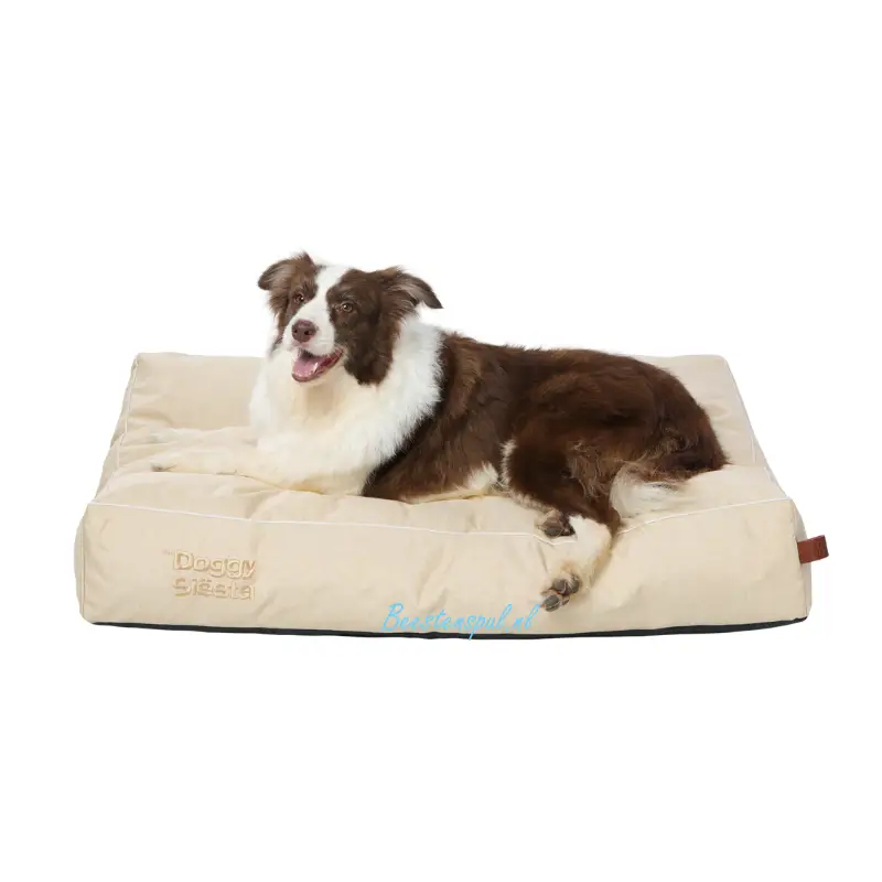 Pet Joy - The Doggy Siësta Strong 2 Pet Joy - The Doggy Siësta Strong - Afbeelding 2