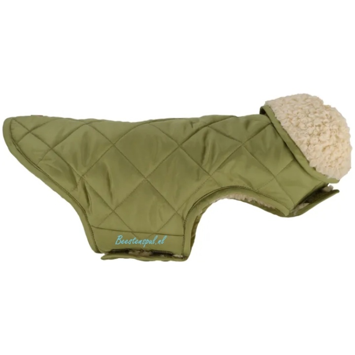 Jas softshell groen kopen? - België - Dat doe je goed