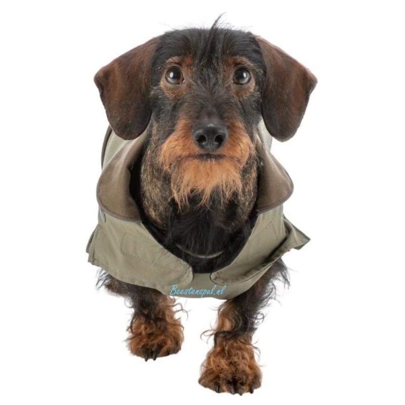 Trixie - Hondenjas - Hermy (voor Teckels) 8 Trixie - Hondenjas - Hermy (voor Teckels) - Afbeelding 8