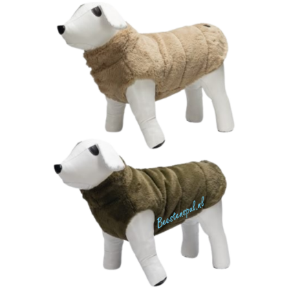 Beeztees - Designed by Lotte - Victoria