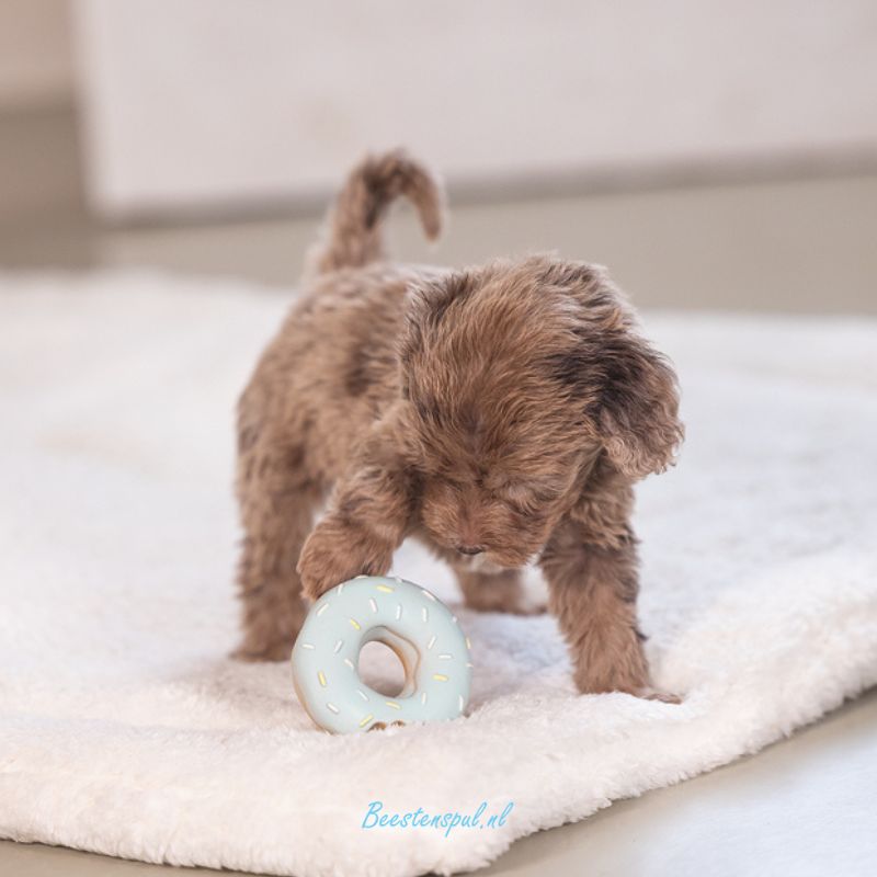 Beeztees - Puppy Donut Jum 7 Beeztees - Puppy Donut Jum - Afbeelding 7