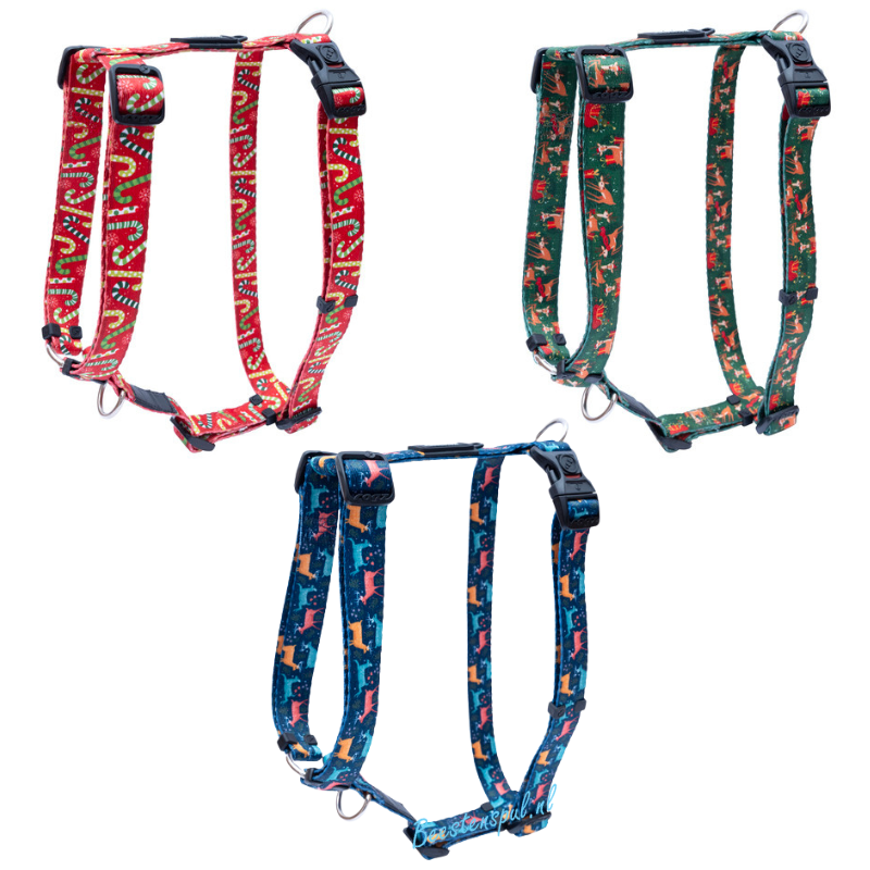 Rogz for Dogz - Tuig - Christmas - Fusion Range 1 Rogz for Dogz - Tuig - Christmas - Fusion Range