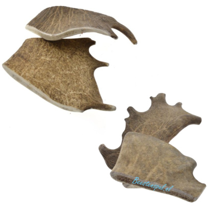 Beestenspul - Damhertgewei