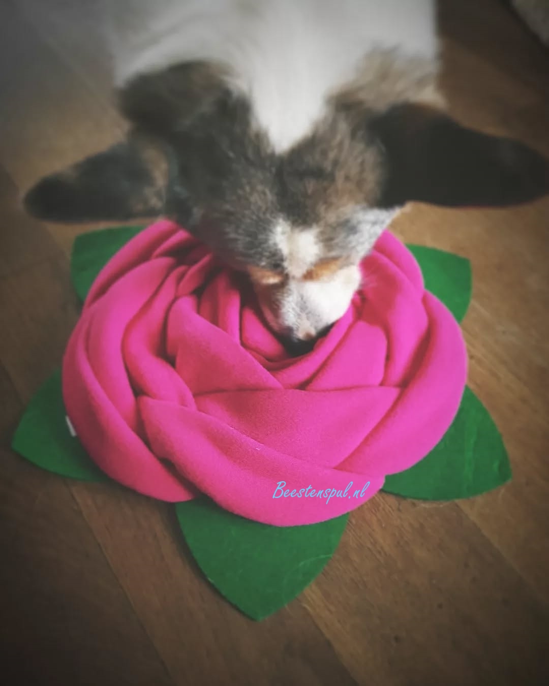 Beeztees - Snuffelmat - Roos 2 Beeztees - Snuffelmat - Roos - Afbeelding 2