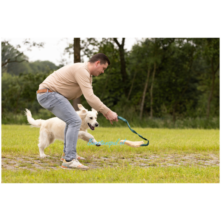 Flamingo - Furtra Chaser Bungee Schapenvacht - Afbeelding 3