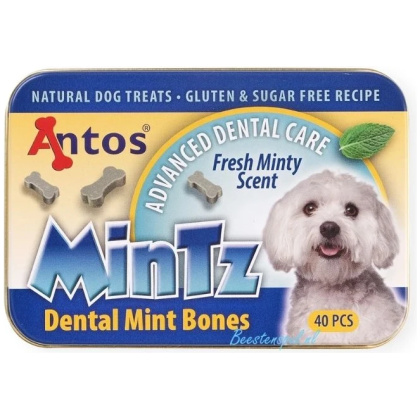 Antos - MinTz Dental Mint Bones