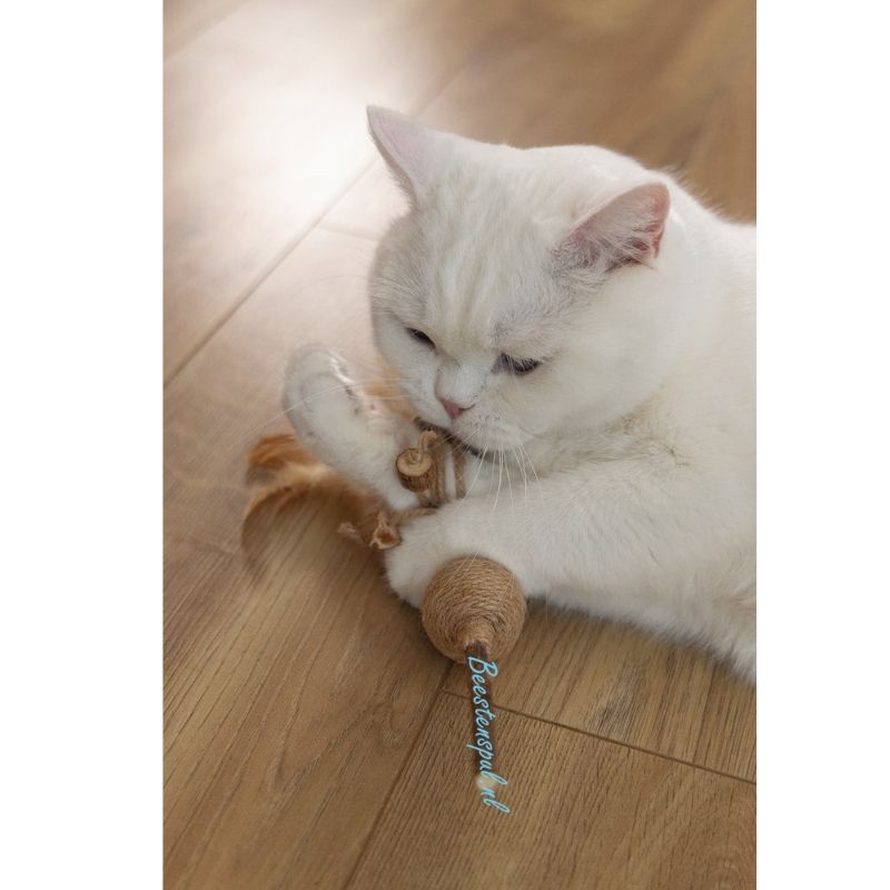 Beeztees - Matatabi/Catnip - Speelgoed 2 Beeztees - Matatabi/Catnip - Speelgoed - Afbeelding 2