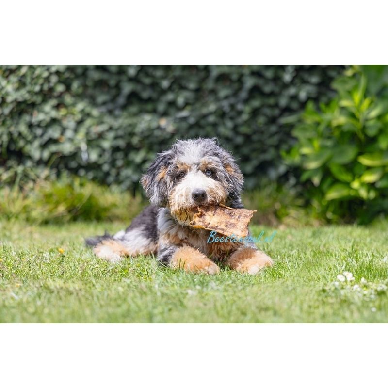 Beeztees - Beef Jerkies 3 Beeztees - Beef Jerkies - Afbeelding 3