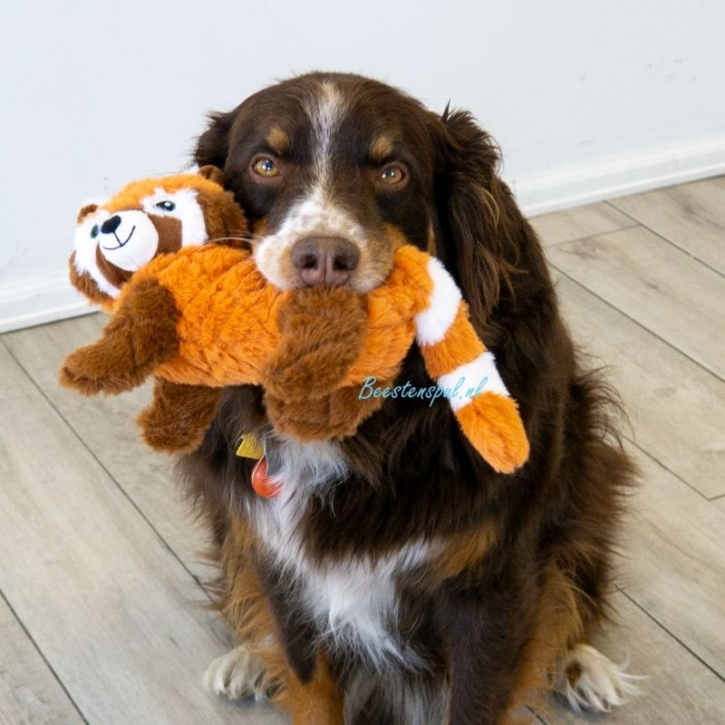 Kong - Scampers 2 Kong - Scampers - Afbeelding 2
