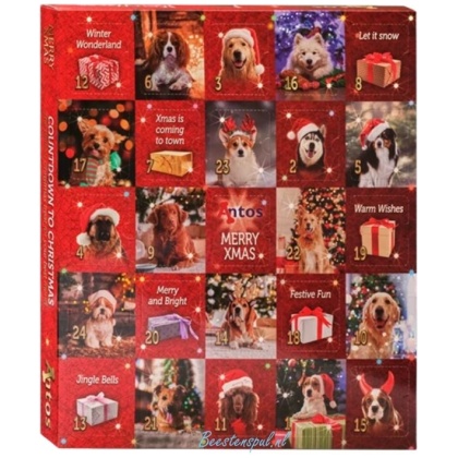 Antos - Adventskalender Hond