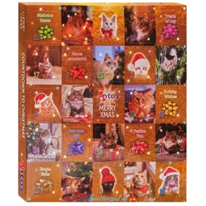 Antos - Adventskalender Kat