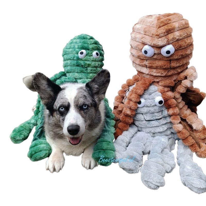 Gorpets - Bobble Octopus 2 Gorpets - Bobble Octopus - Afbeelding 2