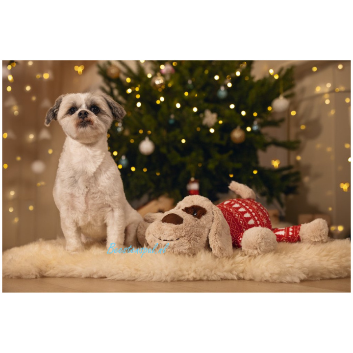Beeztees - Kerstknuffel XL - Arrow & Comet - Afbeelding 2