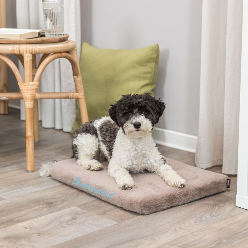 Trixie - Vital Matras Lonni 4 Trixie - Vital Matras Lonni - Afbeelding 4