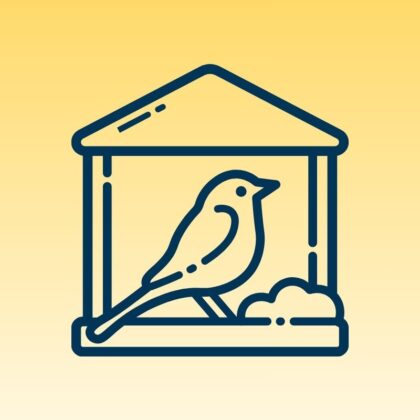 Vogel - Buitenvogels