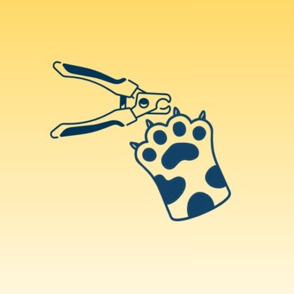 Hond - Poten en Nagels