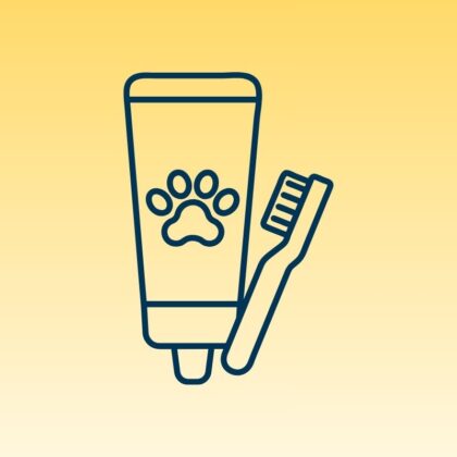 Hond - Gebit, Ogen en Oren