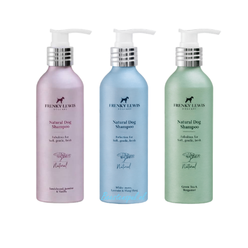 Frenky Lewis - Shampoo 1 Frenky Lewis - Shampoo