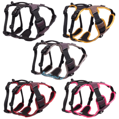 Rogz for Dogz - Adventure Tuig - Air Tech