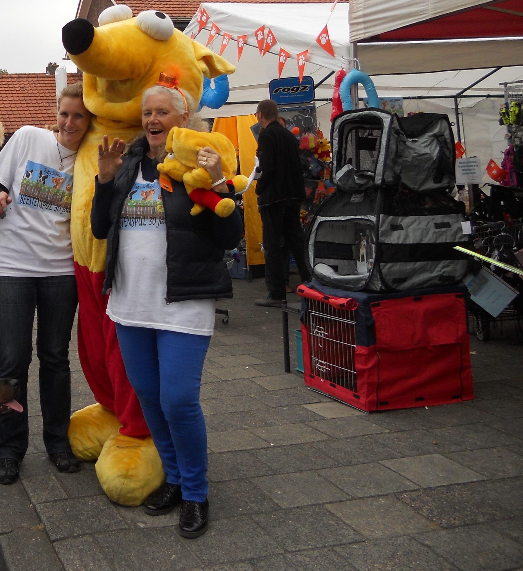 Over Beestenspul 2 30 jaar buitenfeest